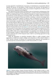 Wildlife and Wind Farms - Conflicts and Solutions, Volume 4 - Pelagic Publishing