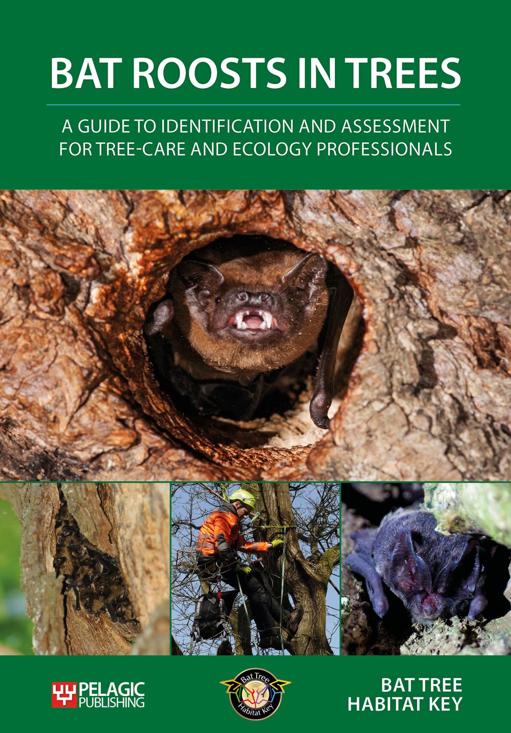 Bat Roosts in Trees - Pelagic Publishing