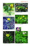 Mountain Flowers and Trees of Caucasia - Pelagic Publishing