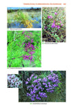 Mountain Flowers and Trees of Caucasia - Pelagic Publishing