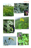 Mountain Flowers and Trees of Caucasia - Pelagic Publishing