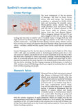 Where to Watch Birds in Sardinia - Pelagic Publishing
