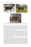 Muntjac and Water Deer - Pelagic Publishing