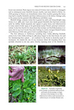 Muntjac and Water Deer - Pelagic Publishing