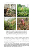 Muntjac and Water Deer - Pelagic Publishing