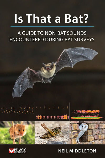 Is That a Bat? - Pelagic Publishing