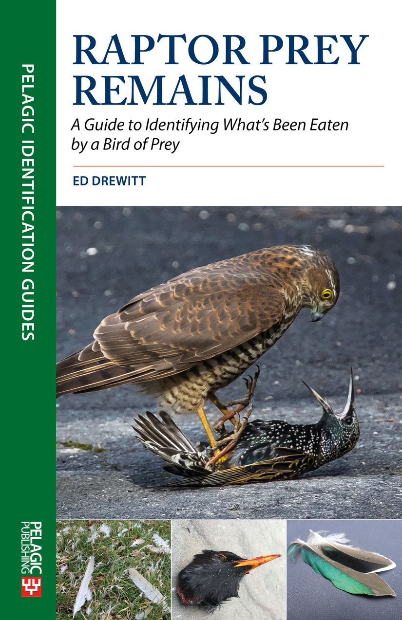 Raptor Prey Remains - Pelagic Publishing
