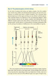 Bird Senses - Pelagic Publishing