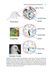 Bird Senses - Pelagic Publishing