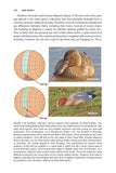 Bird Senses - Pelagic Publishing