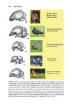 Bird Senses - Pelagic Publishing