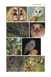 Bird Senses - Pelagic Publishing