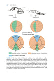 Bird Senses - Pelagic Publishing