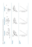 Bat Calls of Britain and Europe - Pelagic Publishing