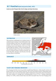 Bat Calls of Britain and Europe - Pelagic Publishing