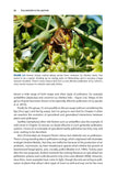 Pollinators and Pollination - Pelagic Publishing