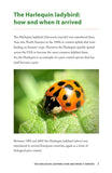 A Field Guide to Harlequins and Other Common Ladybirds of Britain and Ireland - Pelagic Publishing