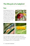 A Field Guide to Harlequins and Other Common Ladybirds of Britain and Ireland - Pelagic Publishing