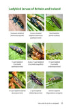 A Field Guide to Harlequins and Other Common Ladybirds of Britain and Ireland - Pelagic Publishing