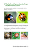 A Field Guide to Harlequins and Other Common Ladybirds of Britain and Ireland - Pelagic Publishing