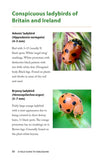 A Field Guide to Harlequins and Other Common Ladybirds of Britain and Ireland - Pelagic Publishing