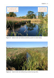 Water Vole Field Signs and Habitat Assessment - Pelagic Publishing
