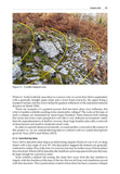 Bat Roosts in Rock - Pelagic Publishing