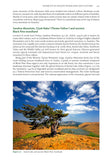 Ancient Woods, Trees and Forests - Pelagic Publishing