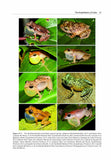 The Conservation and Biogeography of Amphibians in the Caribbean - Pelagic Publishing