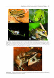 The Conservation and Biogeography of Amphibians in the Caribbean - Pelagic Publishing