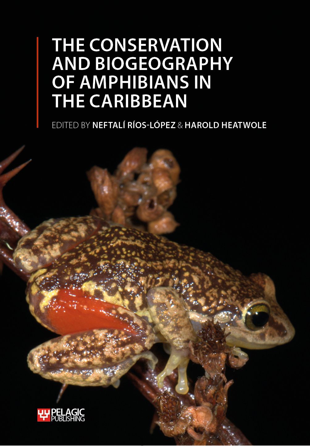 The Conservation and Biogeography of Amphibians in the Caribbean - Pelagic Publishing