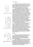 Microscopic life in Sphagnum - Pelagic Publishing