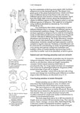 Microscopic life in Sphagnum - Pelagic Publishing