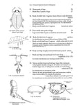 Microscopic life in Sphagnum - Pelagic Publishing
