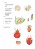 Microscopic life in Sphagnum - Pelagic Publishing