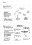 Microscopic life in Sphagnum - Pelagic Publishing