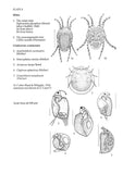 Microscopic life in Sphagnum - Pelagic Publishing