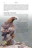 Wild Mull - Pelagic Publishing
