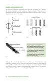 The Hair Scale Identification Guide to Terrestrial Mammalian Carnivores of Canada - Pelagic Publishing