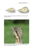 The Wryneck - Pelagic Publishing
