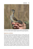 The Wryneck - Pelagic Publishing