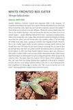 101 Curious Tales of East African Birds - Pelagic Publishing