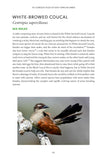 101 Curious Tales of East African Birds - Pelagic Publishing