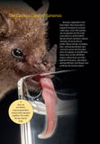 A Miscellany of Bats - Pelagic Publishing