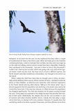 Big Bat Year - Pelagic Publishing