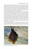 Big Bat Year - Pelagic Publishing