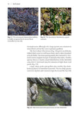 Rock pools - Pelagic Publishing