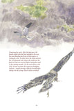 The Hen Harrier's Year - Pelagic Publishing