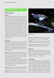 Wildlife Photography Fieldcraft - Pelagic Publishing