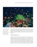 Reflections Underwater - Pelagic Publishing